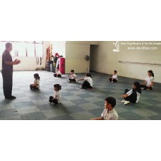 The Art of Wushu