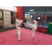 Learn the Hollywood Actions through Karate!