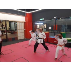 Learn the Hollywood Actions through Karate! Learn the Hollywood Actions through Karate!