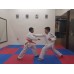Learn the Hollywood Actions through Karate!