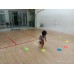 Racquet and Roll: Mastering the Game of Squash