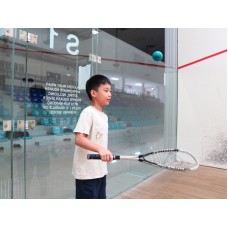 Swinging with Style: Mastering the Art of Squash