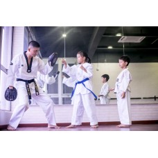 Learn Martial Art through Taekwondo