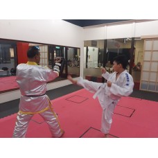 Learn the Hollywood Actions through Karate!