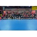 Racquet Royale: Mastering the Game of Badminton with Janice Woon and Team