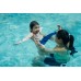 Swim Mastery: Learning, Surviving, Thriving Swim Mastery: Learning, Surviving, Thriving
